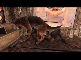 dog and girl sex story कुत्ते और लड़की की सेक्स कहानी